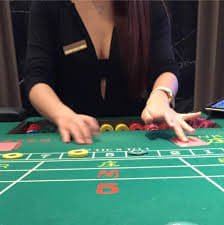 betcacau